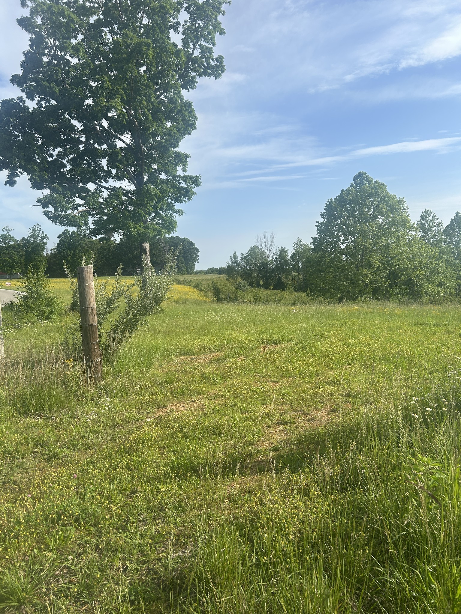 2047 Buffalo Road Hohenwald TN 38462