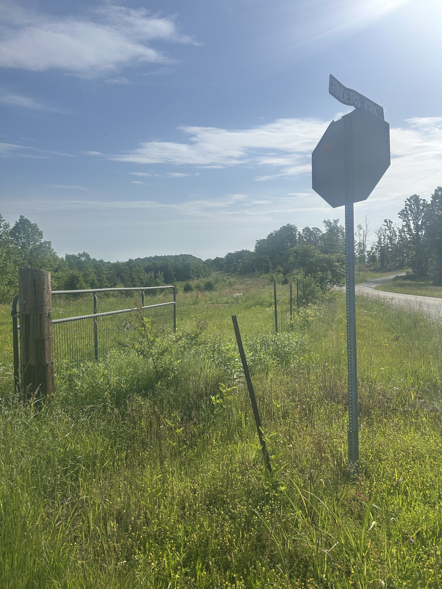 2047 Buffalo Road Hohenwald TN 38462