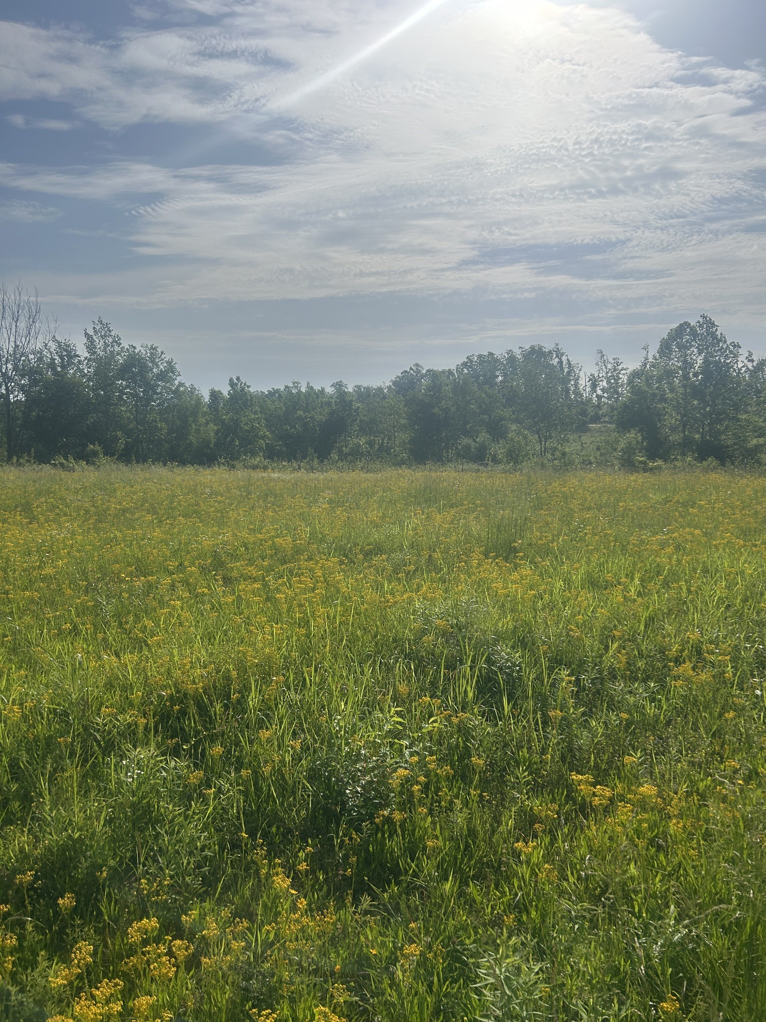 2047 Buffalo Road Hohenwald TN 38462