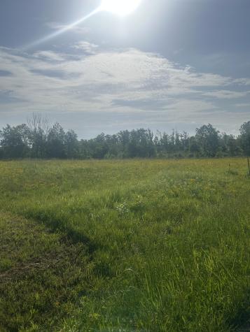 2047 Buffalo Road Hohenwald TN 38462