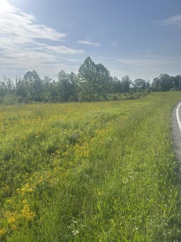 2047 Buffalo Road Hohenwald TN 38462
