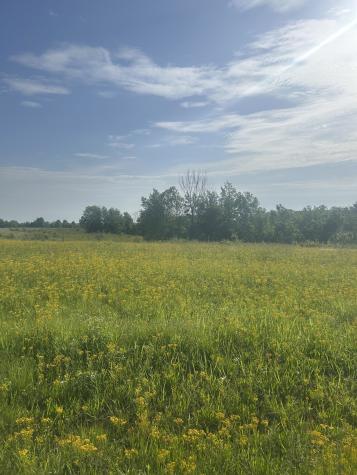 2047 Buffalo Road Hohenwald TN 38462