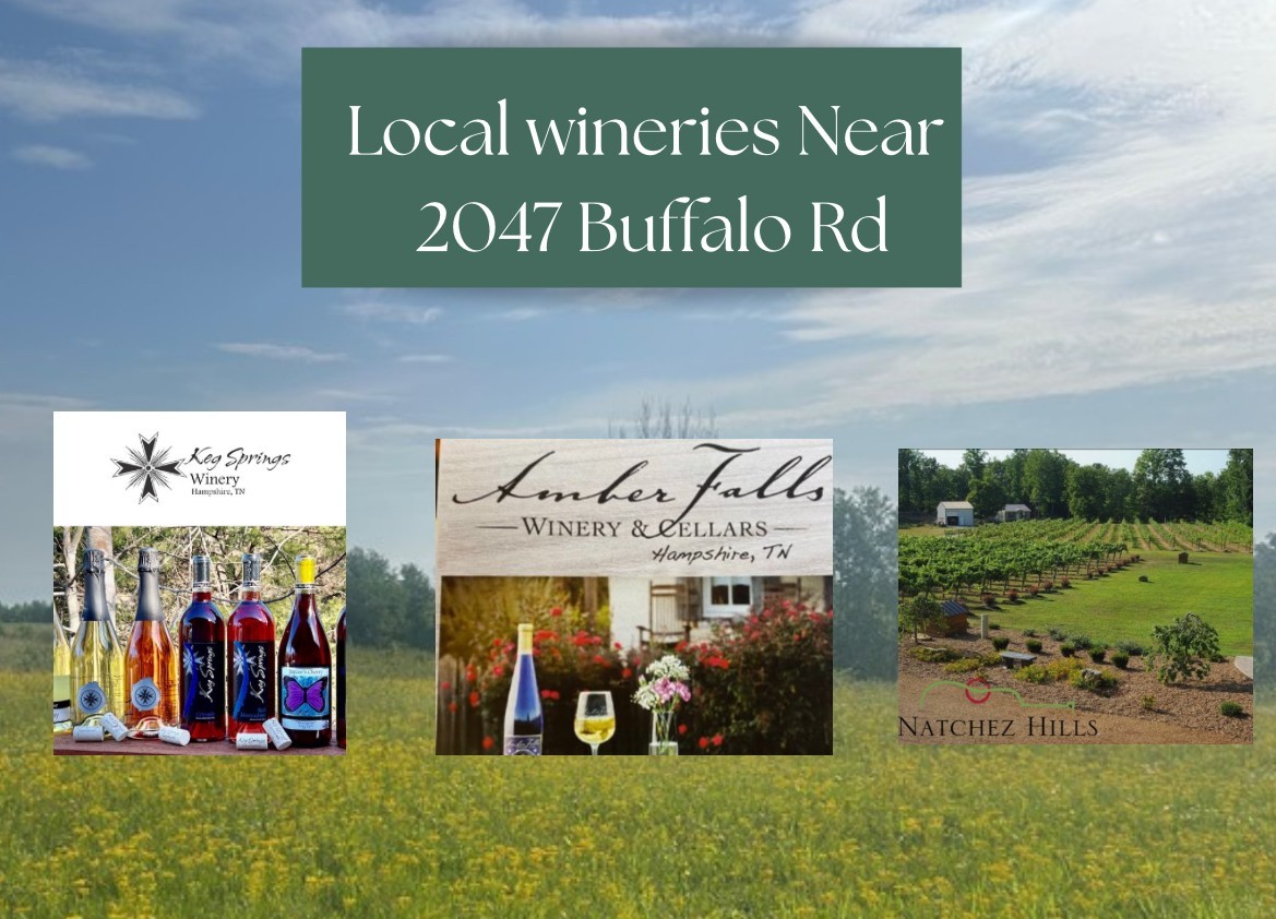 2047 Buffalo Road Hohenwald TN 38462