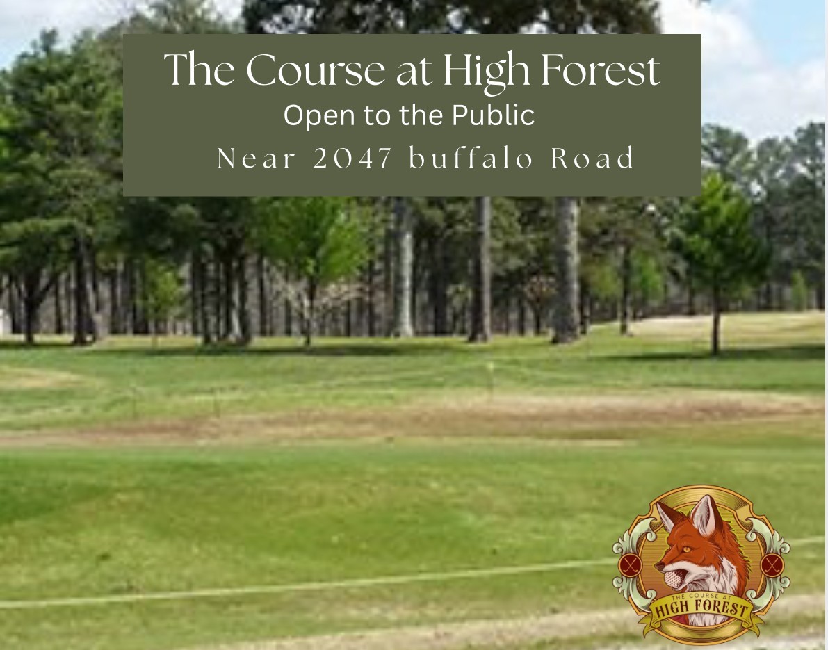 2047 Buffalo Road Hohenwald TN 38462