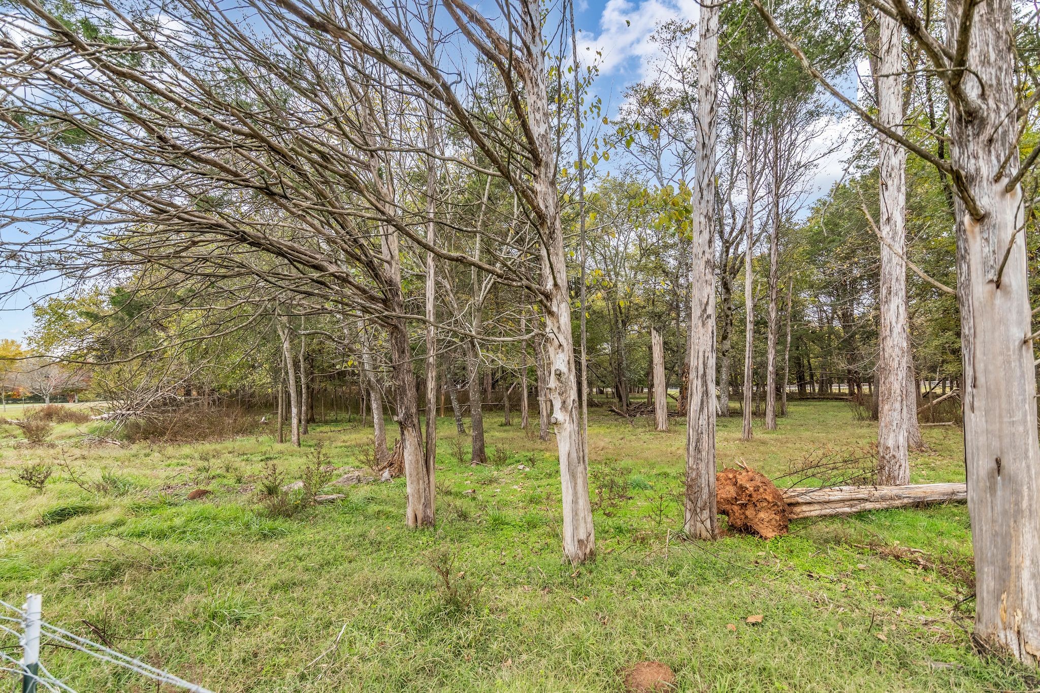 3351 Shacklett Road Murfreesboro TN 37129