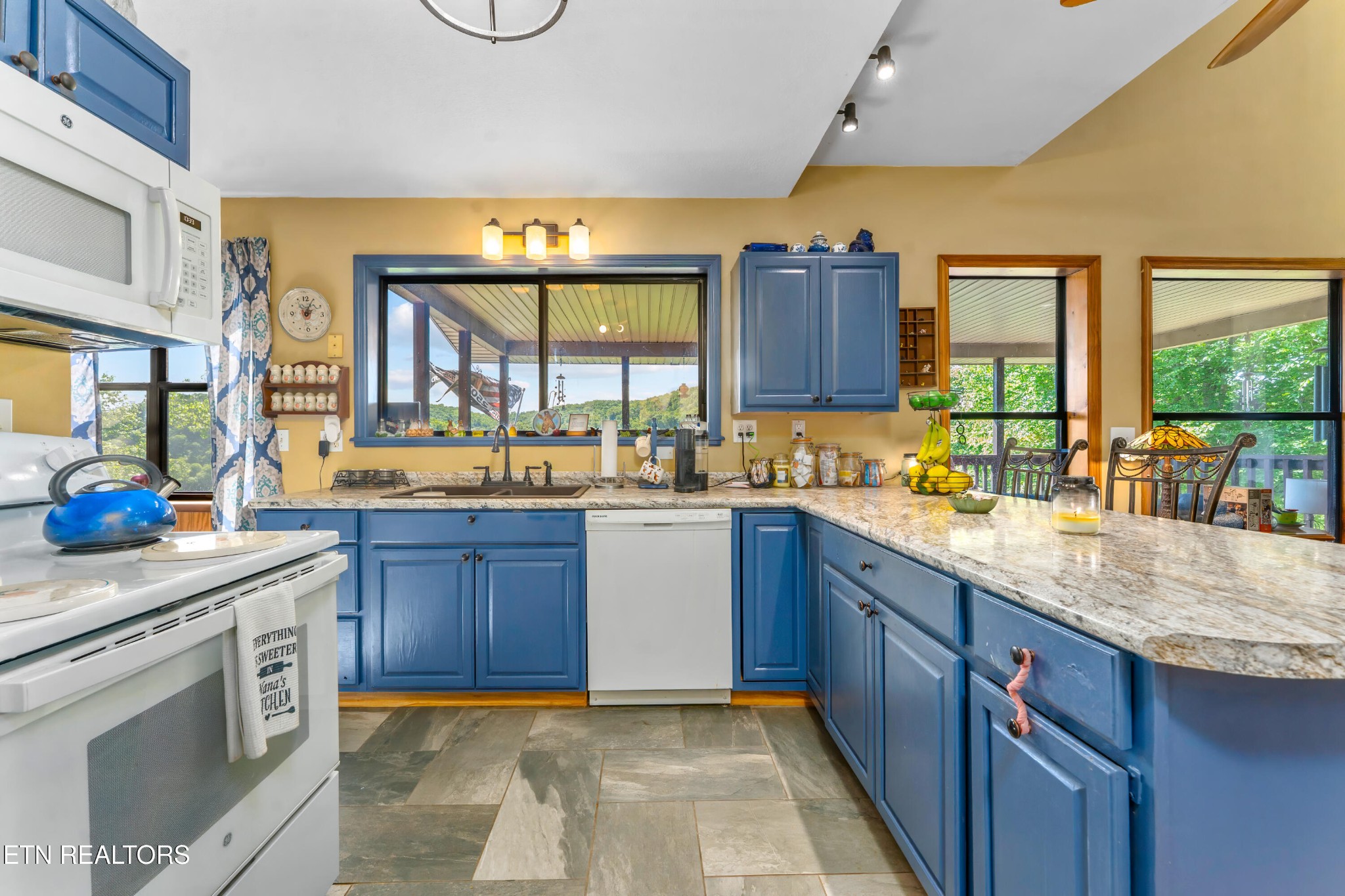 1738 Mountain Shores Road New Tazewell TN 37825