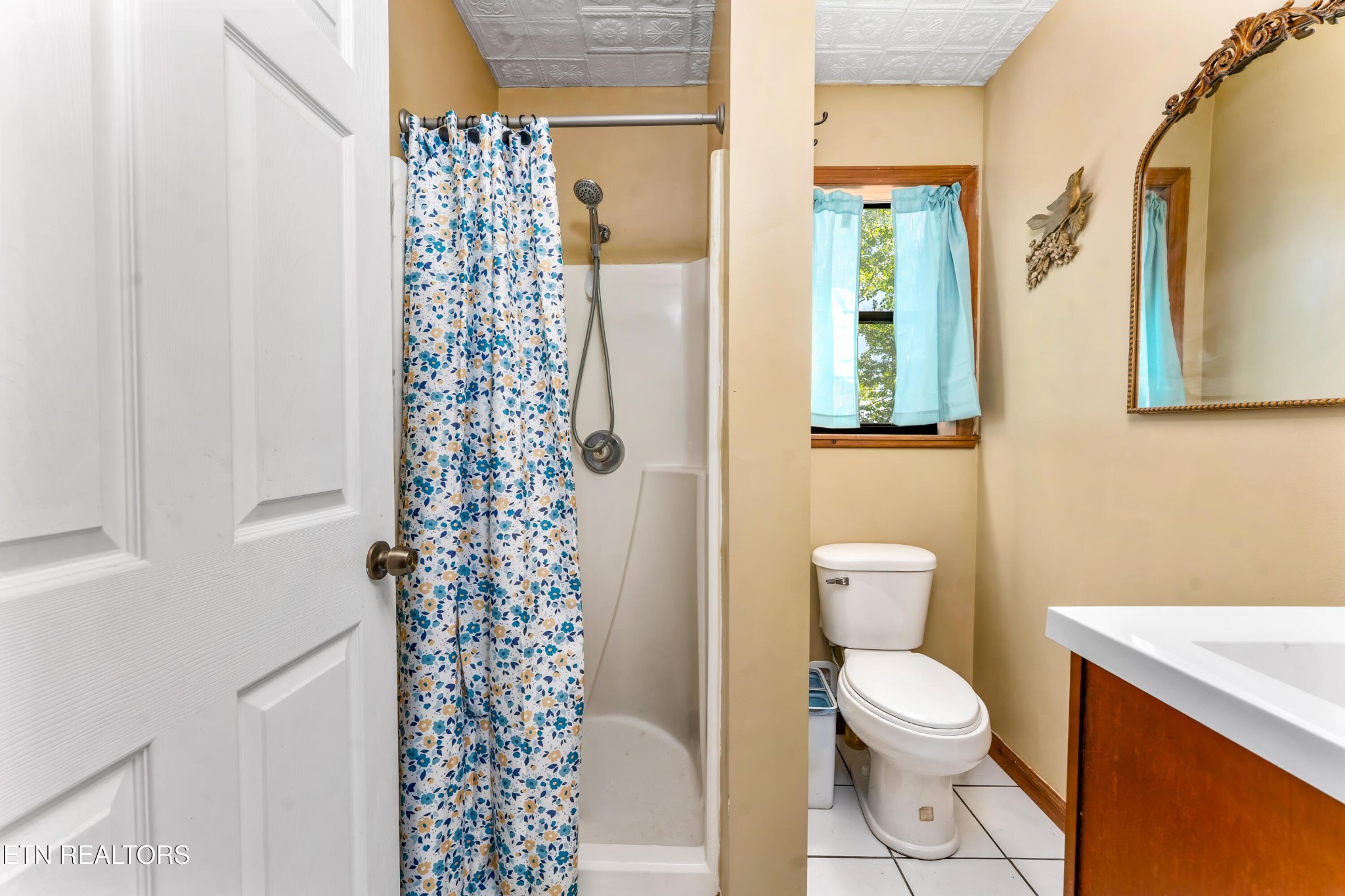 1738 Mountain Shores Road New Tazewell TN 37825