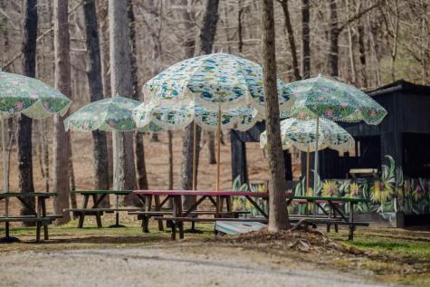 587 Lakes Road Tracy City TN 37387