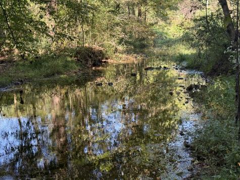 115 Franklin Street Estill Springs TN 37330