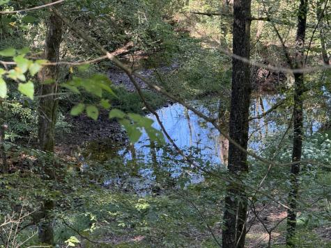 115 Franklin Street Estill Springs TN 37330