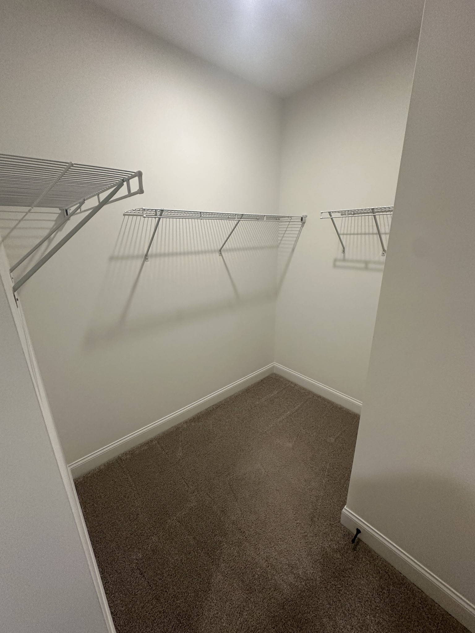 3058 Mallard Drive Lebanon TN 37090