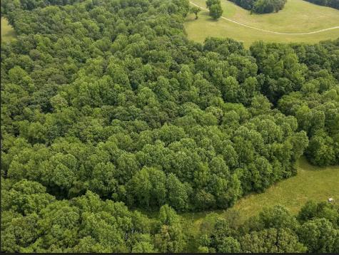 0 Pleasant Ridge Road Huntland TN 37345