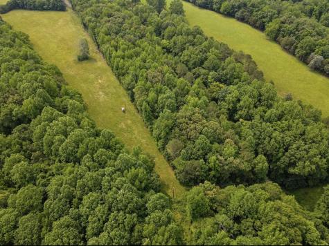 0 Pleasant Ridge Road Huntland TN 37345