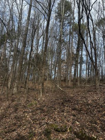0 Pleasant Ridge Road Huntland TN 37345