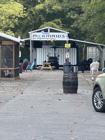 0 Cedar Point Road Bumpus Mills TN 37028