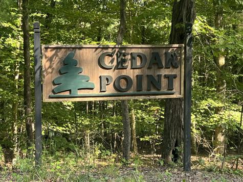 0 Cedar Point Road Bumpus Mills TN 37028