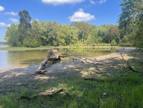 0 Cedar Point Road Bumpus Mills TN 37028