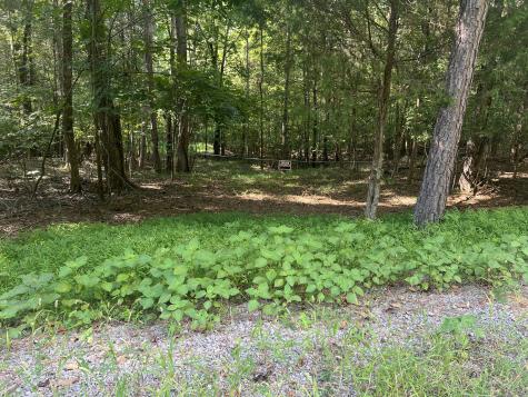0 Cedar Point Road Bumpus Mills TN 37028