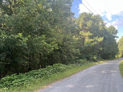 0 Cedar Point Road Bumpus Mills TN 37028