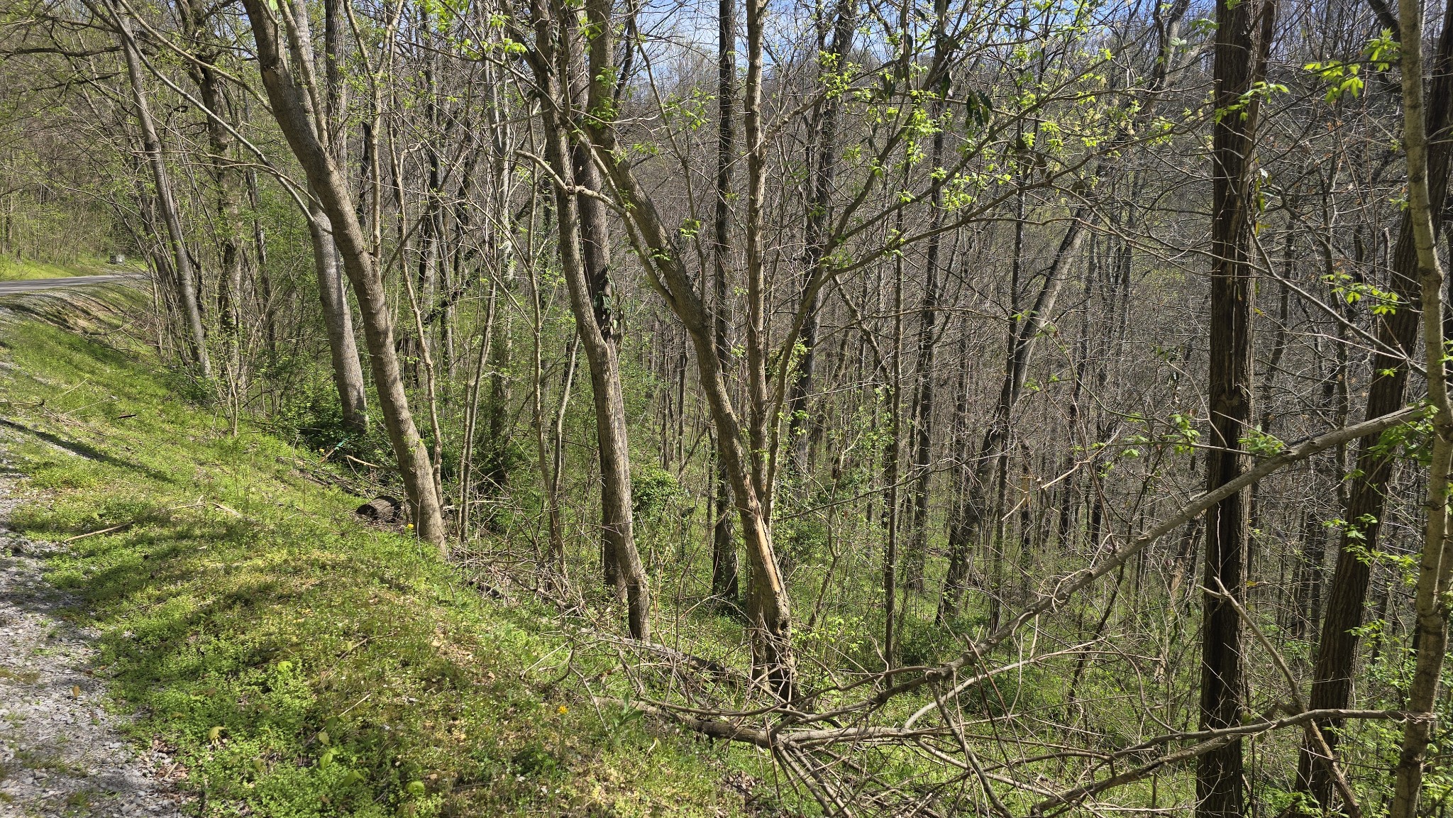 2 Shoreside Drive Smithville TN 37166