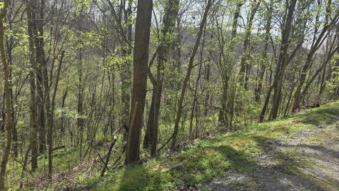 2 Shoreside Drive Smithville TN 37166
