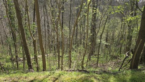 2 Shoreside Drive Smithville TN 37166