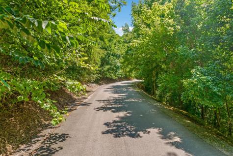 2 Shoreside Drive Smithville TN 37166