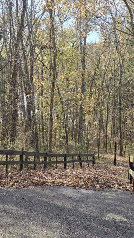 2 Shoreside Drive Smithville TN 37166