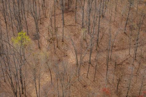 0 White Oak Flatt Road Sparta TN 38583