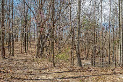 0 White Oak Flatt Road Sparta TN 38583