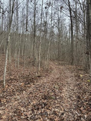 0 Browns Hollow Road Tracy City TN 37387