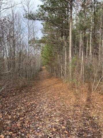 0 Browns Hollow Road Tracy City TN 37387