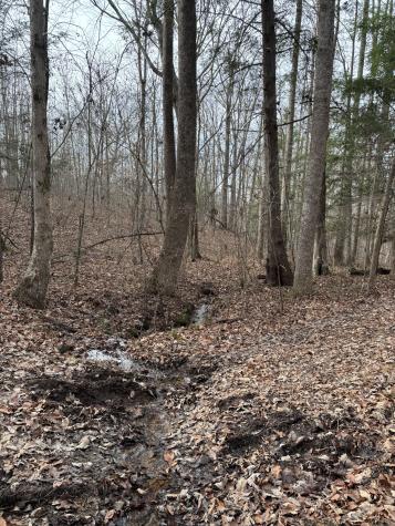 0 Browns Hollow Road Tracy City TN 37387