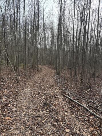 0 Browns Hollow Road Tracy City TN 37387