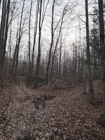 0 Browns Hollow Road Tracy City TN 37387