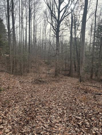 0 Browns Hollow Road Tracy City TN 37387