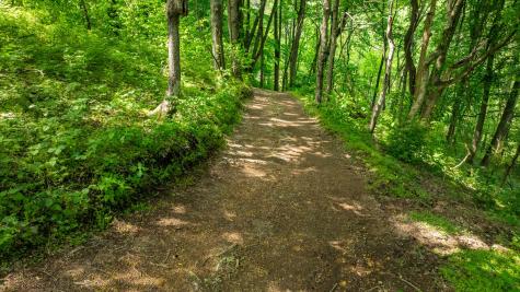 1545 Gravel Hill Road Columbia TN 38401