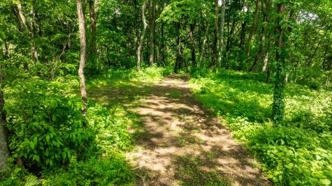 1545 Gravel Hill Road Columbia TN 38401
