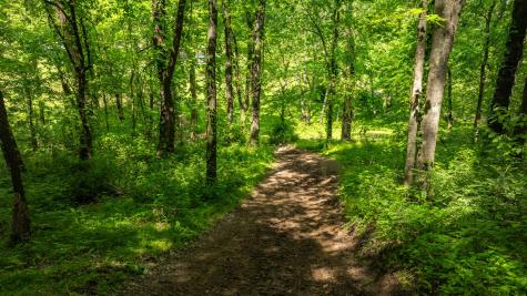1545 Gravel Hill Road Columbia TN 38401