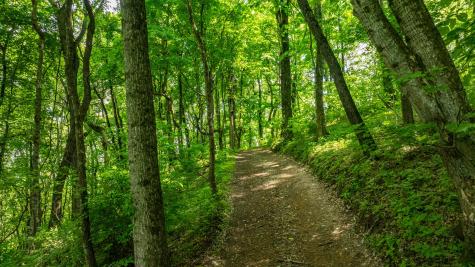 1545 Gravel Hill Road Columbia TN 38401