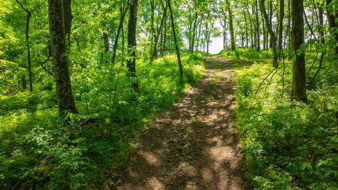 1545 Gravel Hill Road Columbia TN 38401