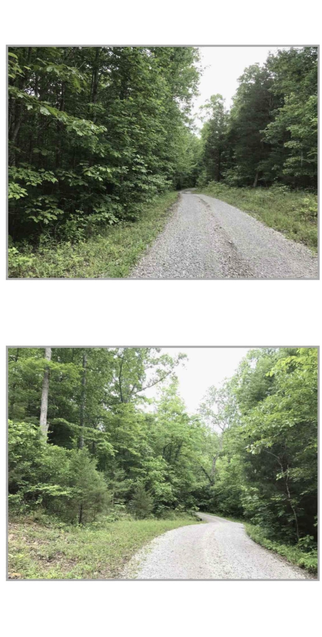 0 Wilson Ridge Lane Fairview TN 37062