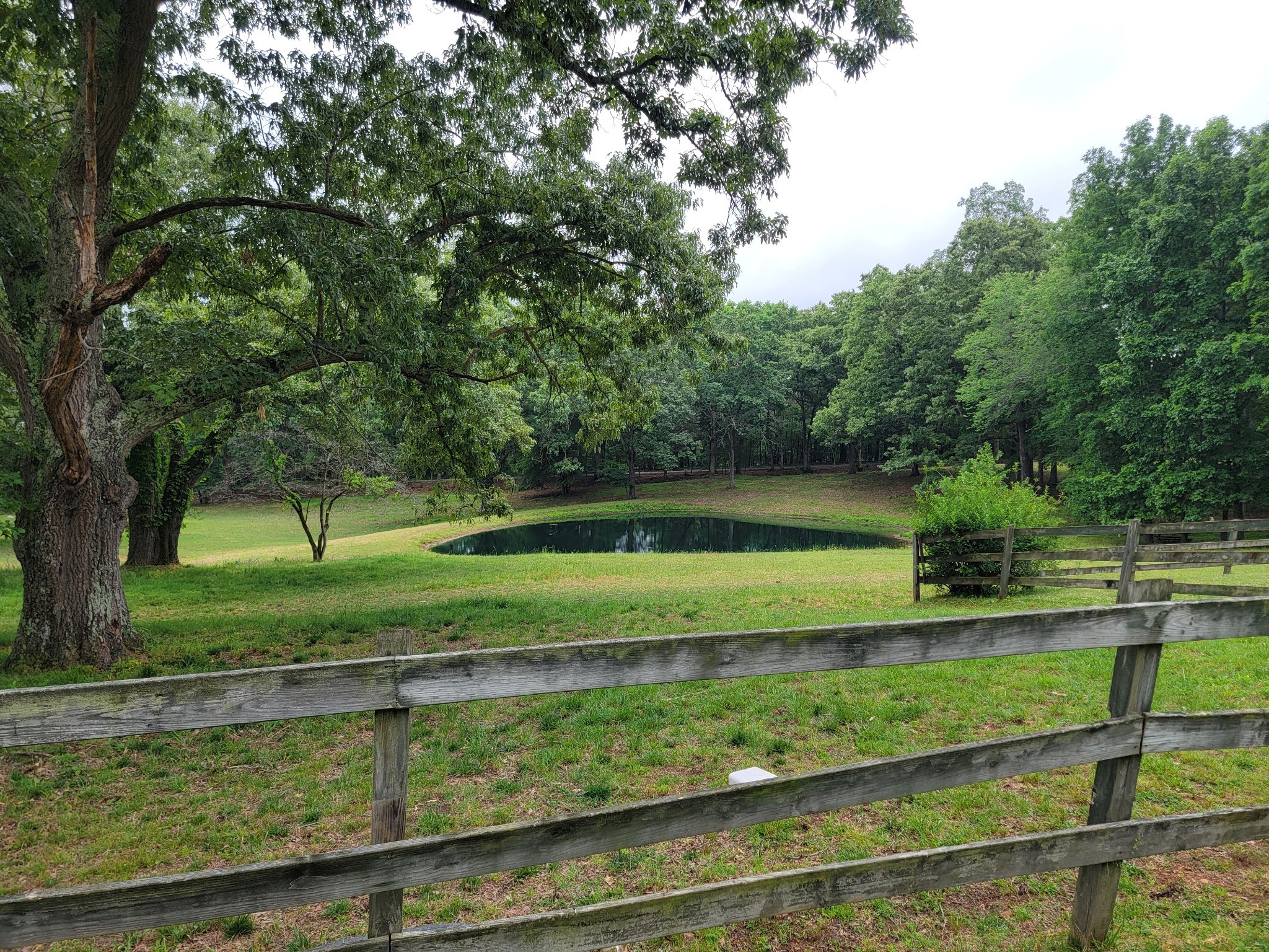1089 Jim Clark Road Erin TN 37061