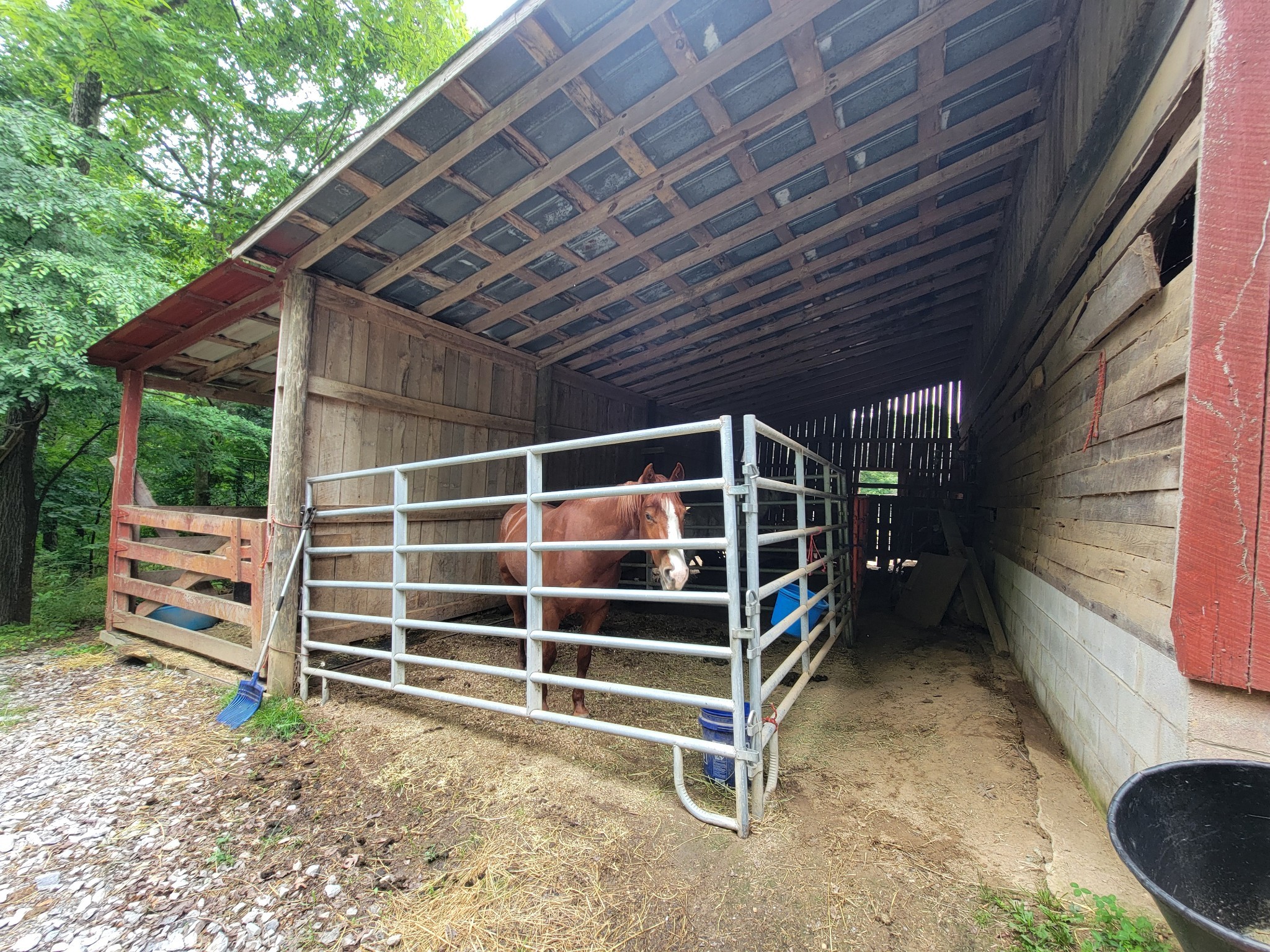 1089 Jim Clark Road Erin TN 37061