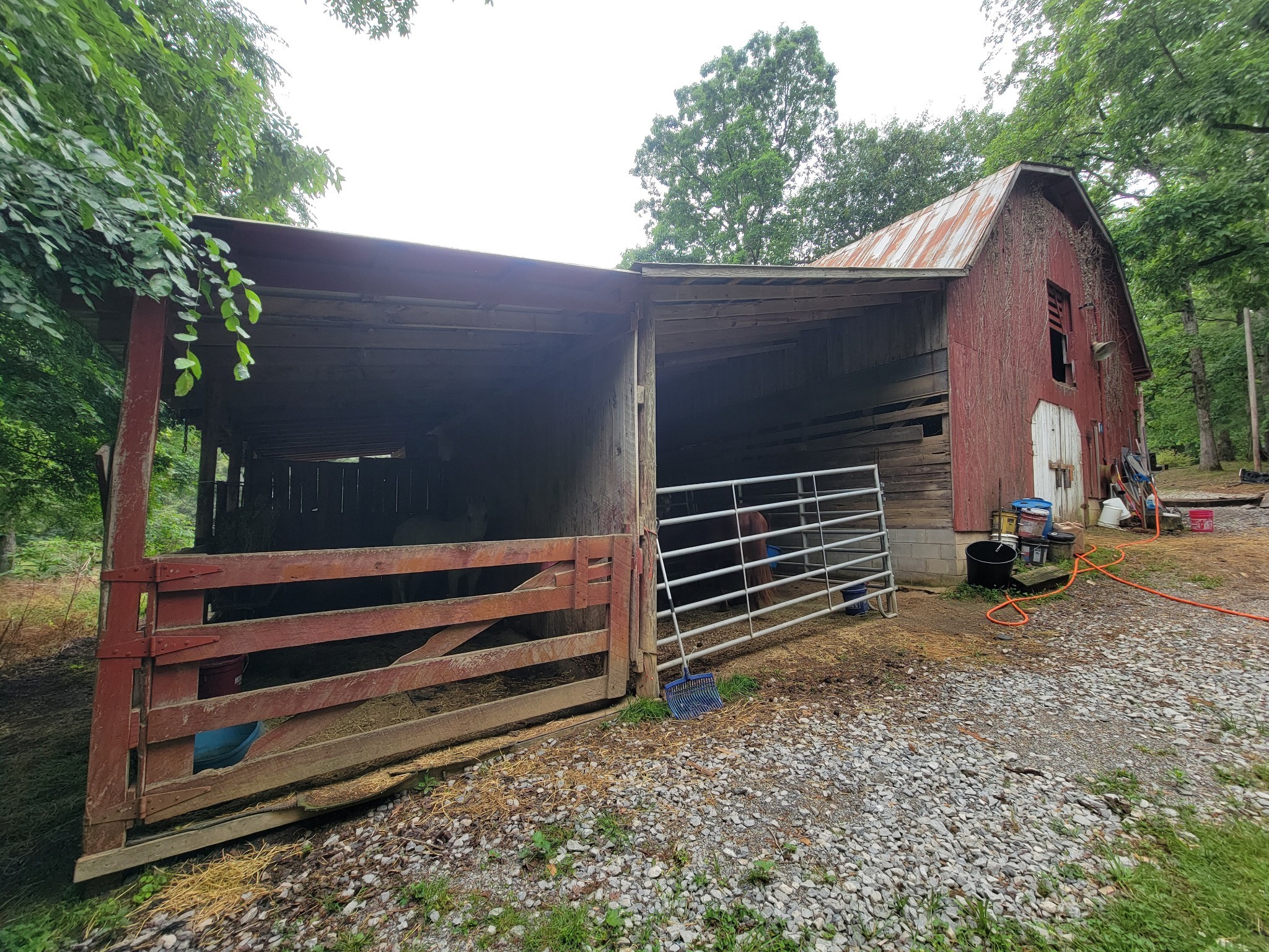 1089 Jim Clark Road Erin TN 37061