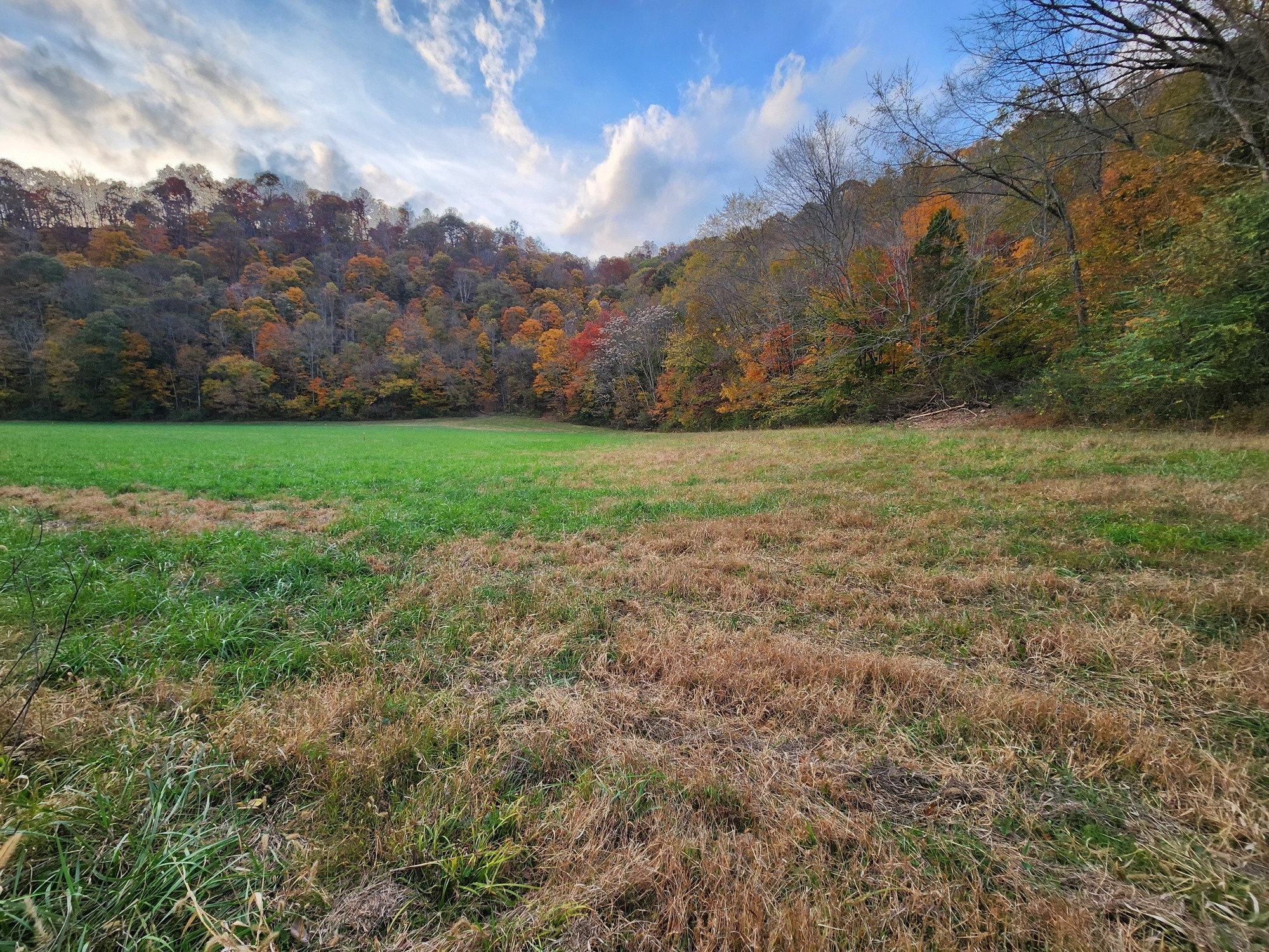 0 Pine Lick Road Whitleyville TN 38588