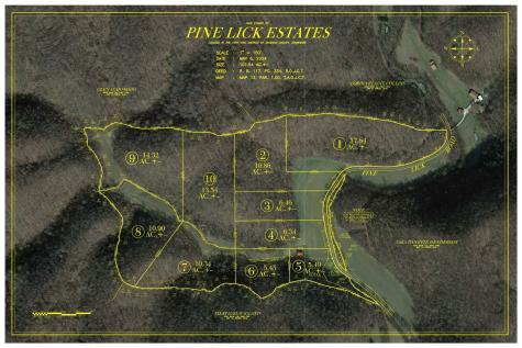 0 Pine Lick Road Whitleyville TN 38588