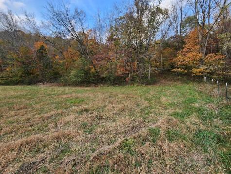 0 Pine Lick Road Whitleyville TN 38588