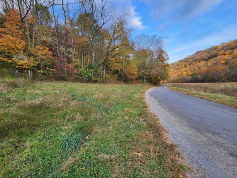 0 Pine Lick Road Whitleyville TN 38588