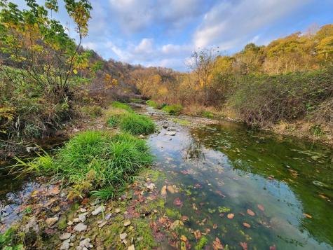0 Pine Lick Road Whitleyville TN 38588